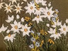 Vintage Crewel Stitch Yarn Artwork  White Daisies In Field 20x26     Framed 22x28   