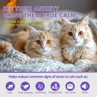 Cat Calming Diffuser 4 Refill Solutions  2 Plugs- Cat Pheromones Calming Diff