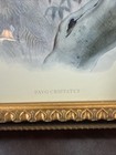 Vtg Mcm Peacock Bird Wall Art Print Framed In Gold Ornate Frame 26x21    Old Money
