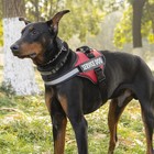 Reflective Service Dog Vest Harness  Woven Nylon With Adjustable Straps Xs-xxl