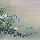 Japanese Hanging Scroll Hand Painted  flowers And Plants  By Shoun W box