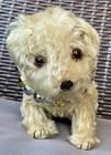 Antique Steiff Sitting Mohair Dog Molly 8    Jtd Head Long F Button Prewar Nice 