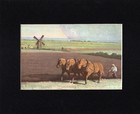 Suffolk Punch Horse Print - Custom Matted - 1951 Illustration By Wesley Dennis
