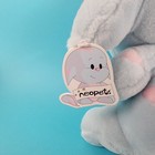 Neopets Deluxe Striped Kacheek Jumbo 11    Plush Stuffed Doll Toy Limited Too New