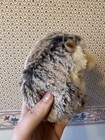 Douglas Spunky Hedgehog Plush Stuffed Animal Nwt