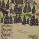 The Isles - Perfumed Lands  cd  Album  Promo   very Good Plus  vg    - 362888192