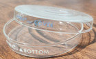 Pyrex Glass Petri Dish 100mm X 10mm Cover   Bottom Reusable Pick Quantity Usa