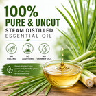 Citronella Essential Oil 100  Pure Many Sizes Free Shipping