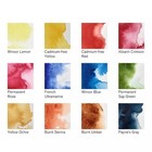 Winsor Newton Professional Watercolor 12 Count 5ml Tubes Vibrant Pigments