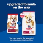 Hill s Science Diet Adult Dog Food 4 5lb     Lamb   Brown Rice  Small Kibble