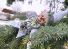 Robert Stanley Jester Elf Pixie Christmas Figurine Posable Shelf Sitter Doll 18   