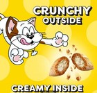 Temptations Classics Tasty Chicken Flavor Crunchy And Soft Cat Treats  30 Oz