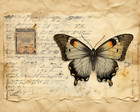 Junk Journal Supplies 12 Butterfly Pocket Stuffer Cards  Scrapbooking