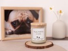 Pug Gifts   Decor  Dog Mom Gifts For Women  Dog Farts Candle  Pet Friendly La   