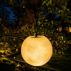 Gl Series Moon Light Fixture 12v Low Voltage Outdoor Ip65 Waterproof Hanging Or