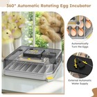 48 Egg Incubator Auto Turning     Hatcher For Chicken Duck Quail Parrot Eggs