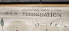 Remy Perrier Cepede 1918 Stone Litho Biology Wall Chart  Denoyer-geppert Import