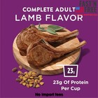 Purina Dog Chow Complete Dry Dog Food For Adult Dogs High Protein  Lamb  18 5 Lb
