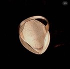 Mourning Ring From 1786   - High   quality Example - Neoclassical Miniatures    