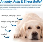 Hemp Oil For Dogs Cats Anxiety  Pain stress Calming Drops 100  Organic 60ml