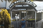 1 3 Girls Visit Dog Race Track    2 3  Americana 8mm Home Movie Film Reel B673