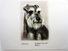 Refrigerator Magnetic Memo List Pad 100 Sheets - 2 Pads - Wire-haired Pinscher