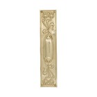 Art Nouveau Brass Push Plate With Whiplash Lilies Tulip Design - Choose Finish