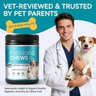 Probiotics For Dogs 200 Soft Chews With Digestive Enzymes And Prebiotics
