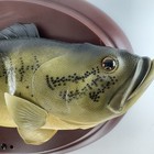 Vintage Talking Boogie Bass Fish Plaque Untested As Is