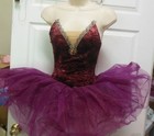Gold Tinted Velvet Ballet Costume Short Classic Tutu 3 Colors Nude Inset