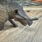 Collecta Megacerops Deluxe Scale Dinosaur Toy Model Figure 88558 Us Seller 2012