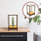 New Acrylic Doll Display Case Statue Display Box Large Toy Storage Organizer