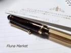 Pilot Fountain Pen Custom 74 Nib 14k 585 F Special Edition Clear Brown X Gold