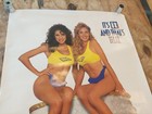 Vintage Miller Lite Beer Sexy Bikini Swimsuit Girls Poster 90 s Large Poster