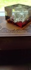 Vintage Lucite Paperweight With Dried Flowers   Ferns     Mid-century Modern Decor