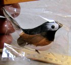 Mangelsen s White Belly Chickadee Bird Used For Crafting  Fun Display 2  881-43