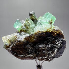 161ct Natural Art  -  Fine Emerald Crystals  On Quartz mica Specimen Chitral Pak