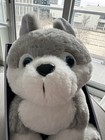 Asquith   Somerset Heatable Husky Wolf 10  Plush Lavender Scent Hot Cold New 