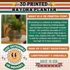 Rayora Space Age Planter  Mid-century Modern Pot With Vintage Style Decor