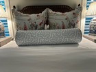 2 Schumacher Yangtze River 26x26    Euro Pillow Custom Shams And Inserts In Aqua