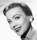 Anne Jeffreys Photos Group Of 4 Vintage Original Bright Glossy 1950s  8x10 7x9in