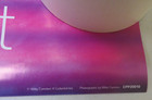 Rolled Victoria Silvstedt Model Pin Up Cheesecake Door Poster Pyramid  P21