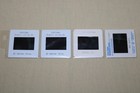 The Postman - 4 Press Kit Slides Kevin Costner Olivia Williams Will Patton Petty