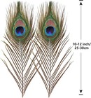Sendyfeather 10pcs Natural Peacock Feathers In Bulk 10-12inch 10-12inch-10pcs 