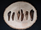 Authentic Native American Arrowheads Tools Artifacts Jewelry Making Refinished 
