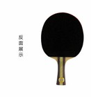 Nice Quality Entry Level Double Fish Dhs  Table Tennis Racket Ping Pong Paddle 