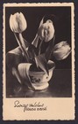 Latvia 1942 Ostland  Postcard From Riga  Flowers  Wwii