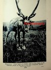 Siberian Colonists Raft  Mongolia  reindeer On Reverse   Book Illustration