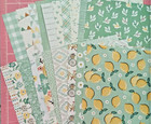 Craft Smart Mint To Be 12x12 Paper Pad  48  Single-sided Papers  24  Designs