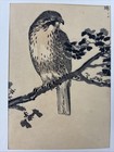 Meiji Period Japanese Block Print By Kono Bairei